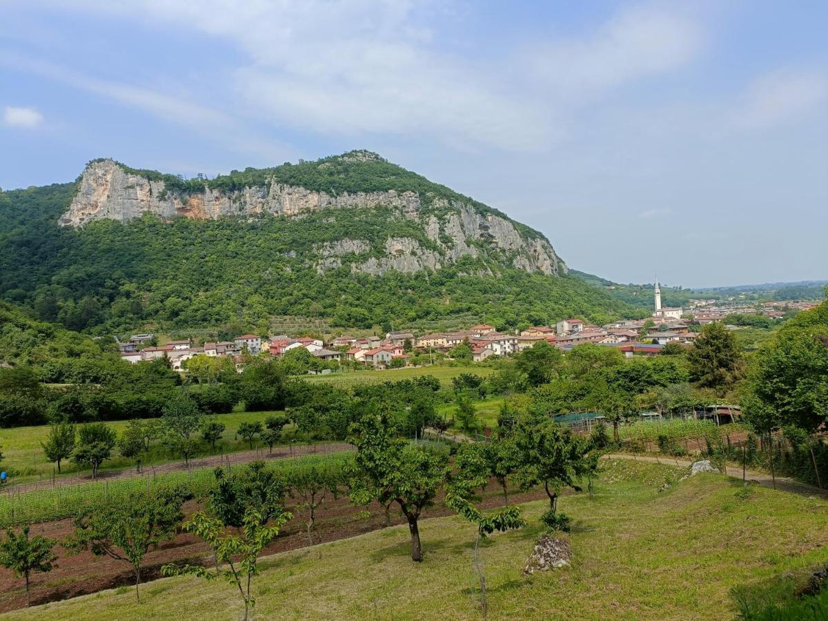 Boutique Apartment Alla Dolce Vita Vicenza Eksteriør billede