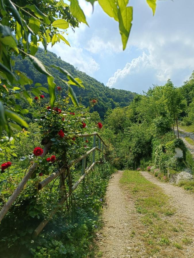 Boutique Apartment Alla Dolce Vita Vicenza Eksteriør billede